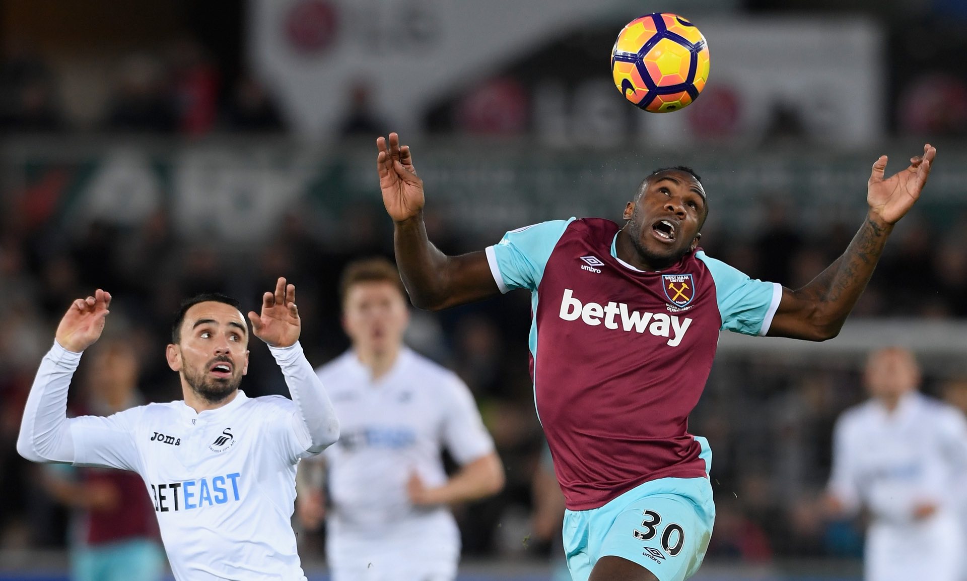 粒重要入账 粒重要入账